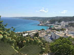 Гостиница Oleandri Holidays  Кастро